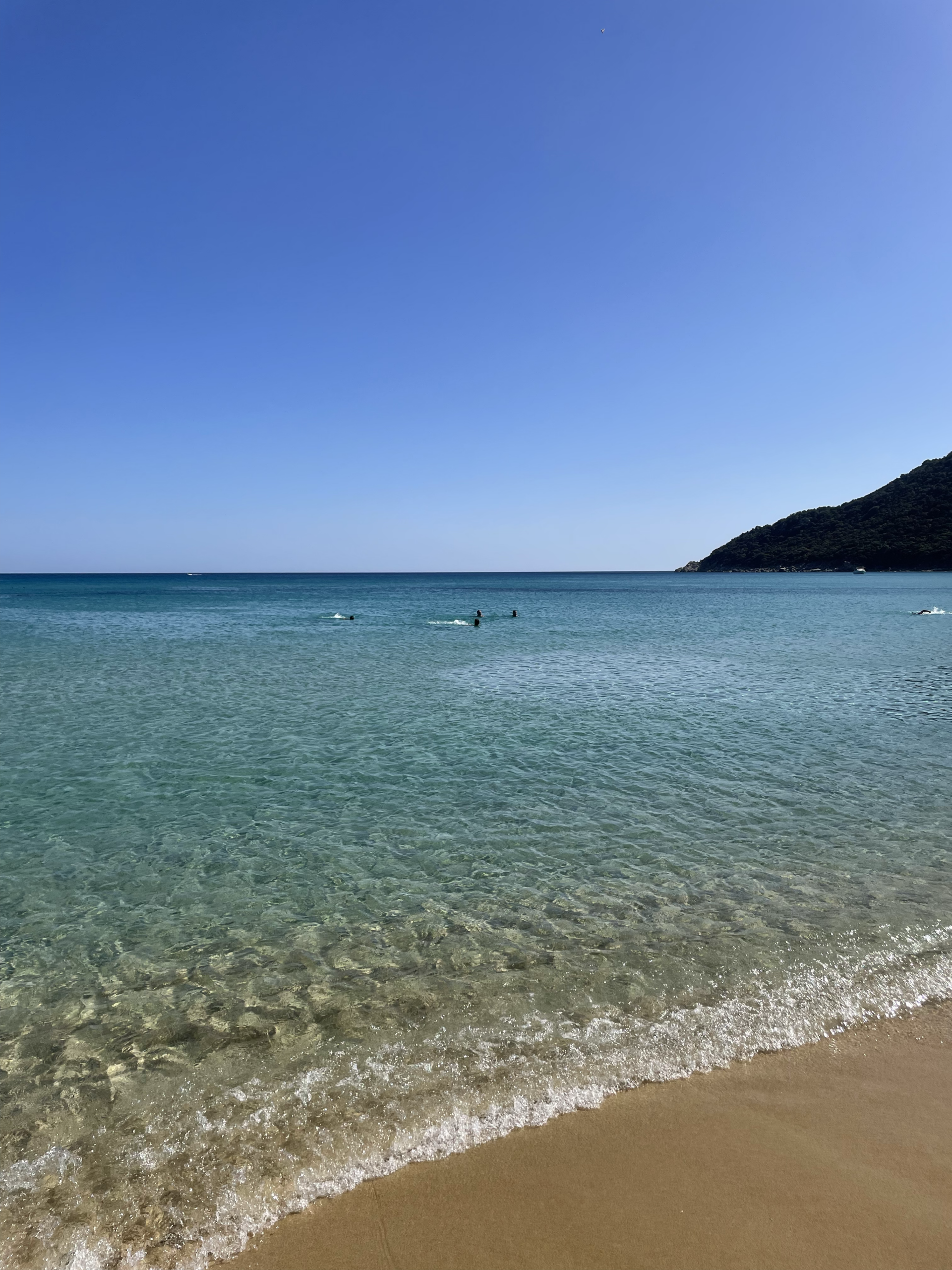 mare costarei